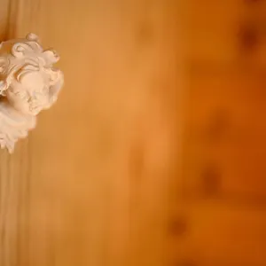 https://bavaria-biohotel.com-bavaria.com